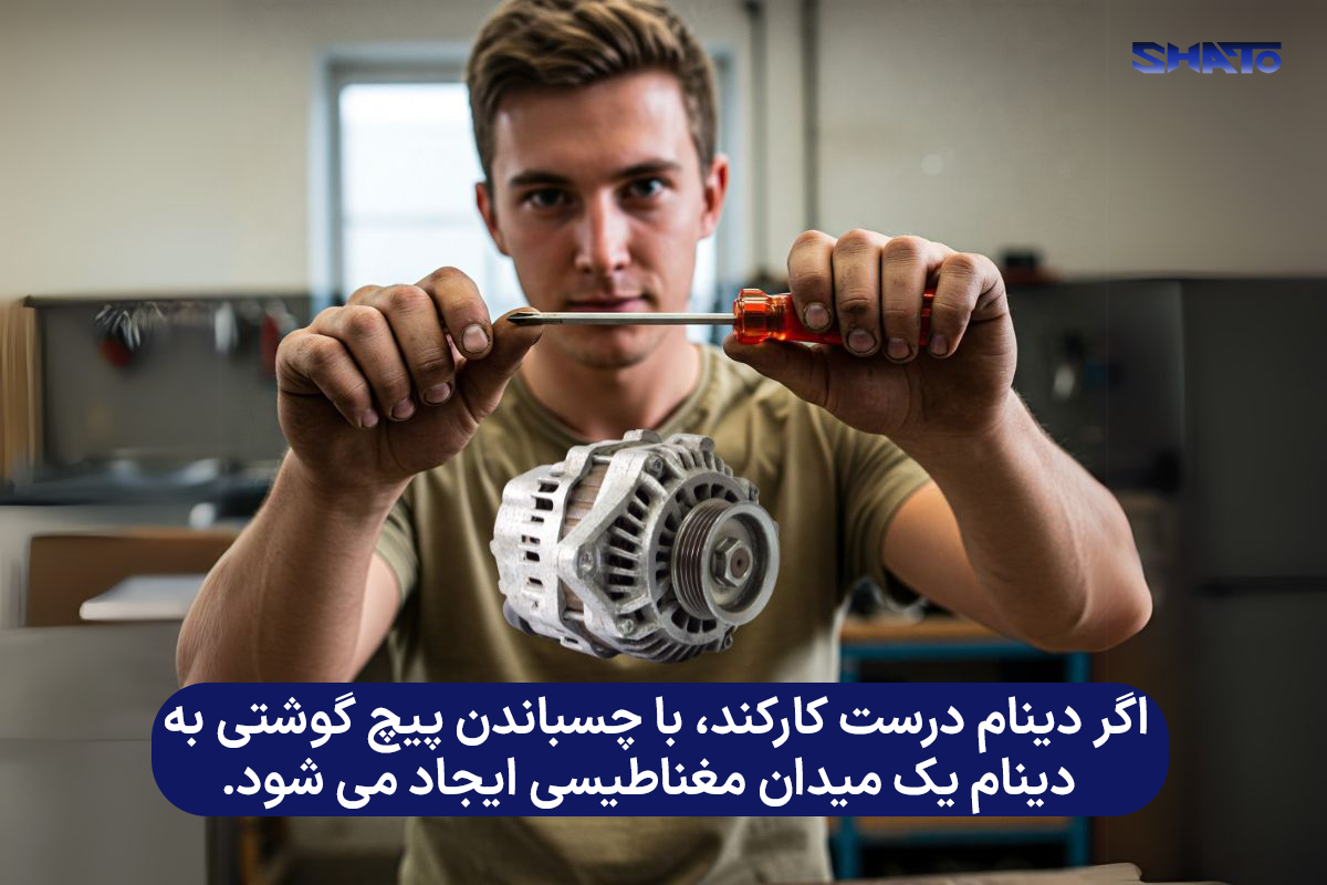 تست دینام با پیچ گوشتی